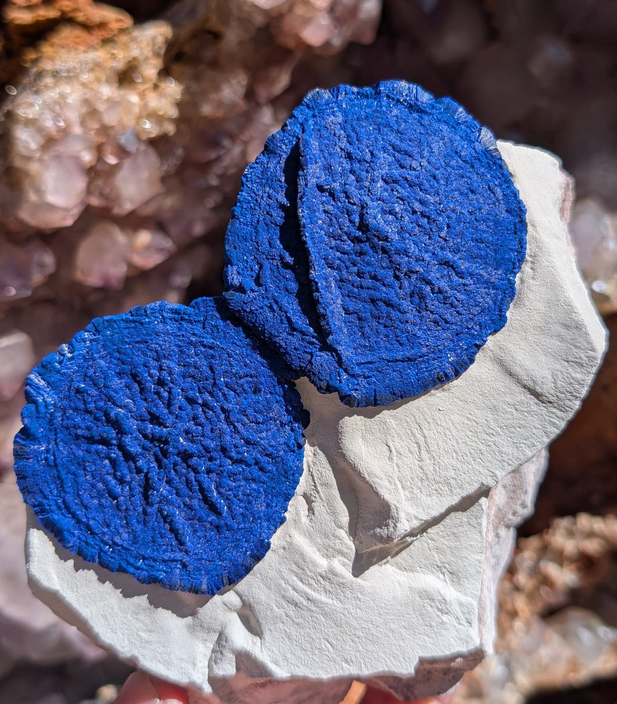 Azurite sun specimens