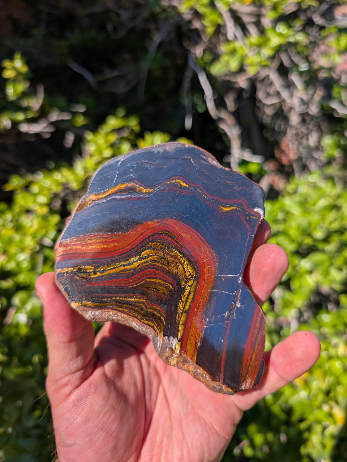 Tiger iron