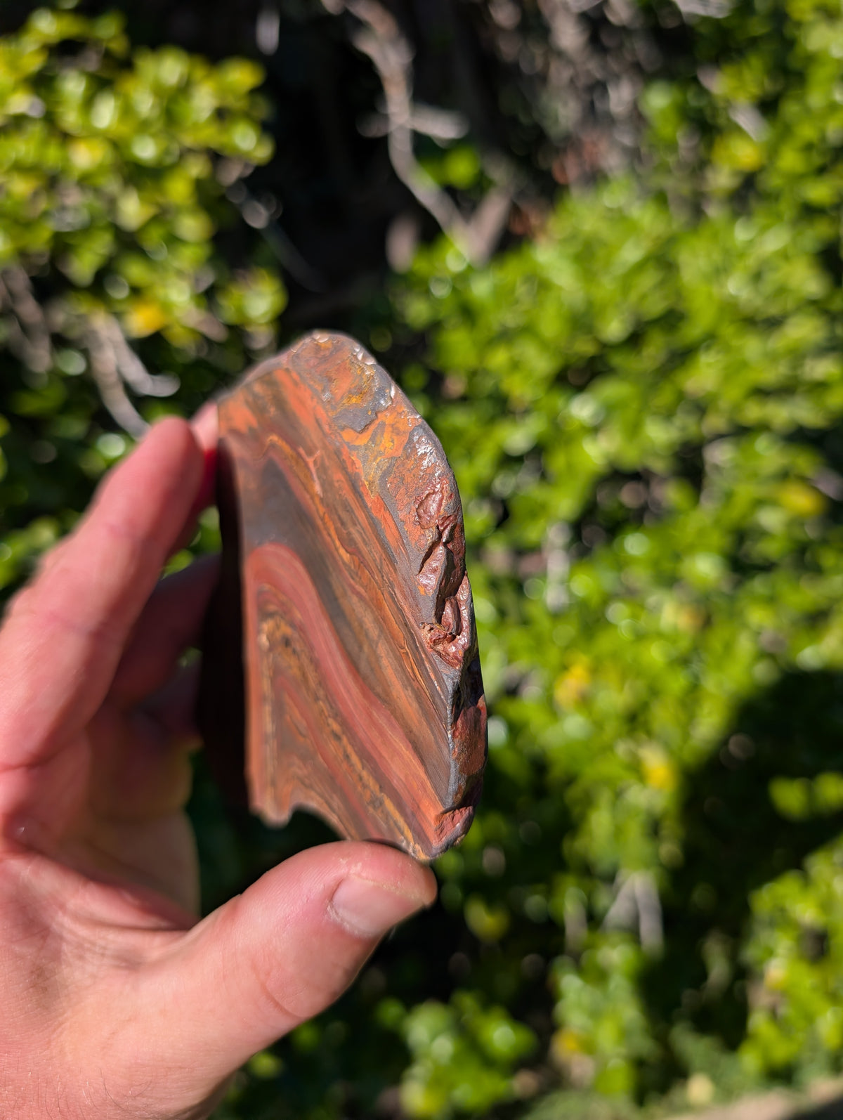 Tiger iron