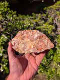 crazy lace agate