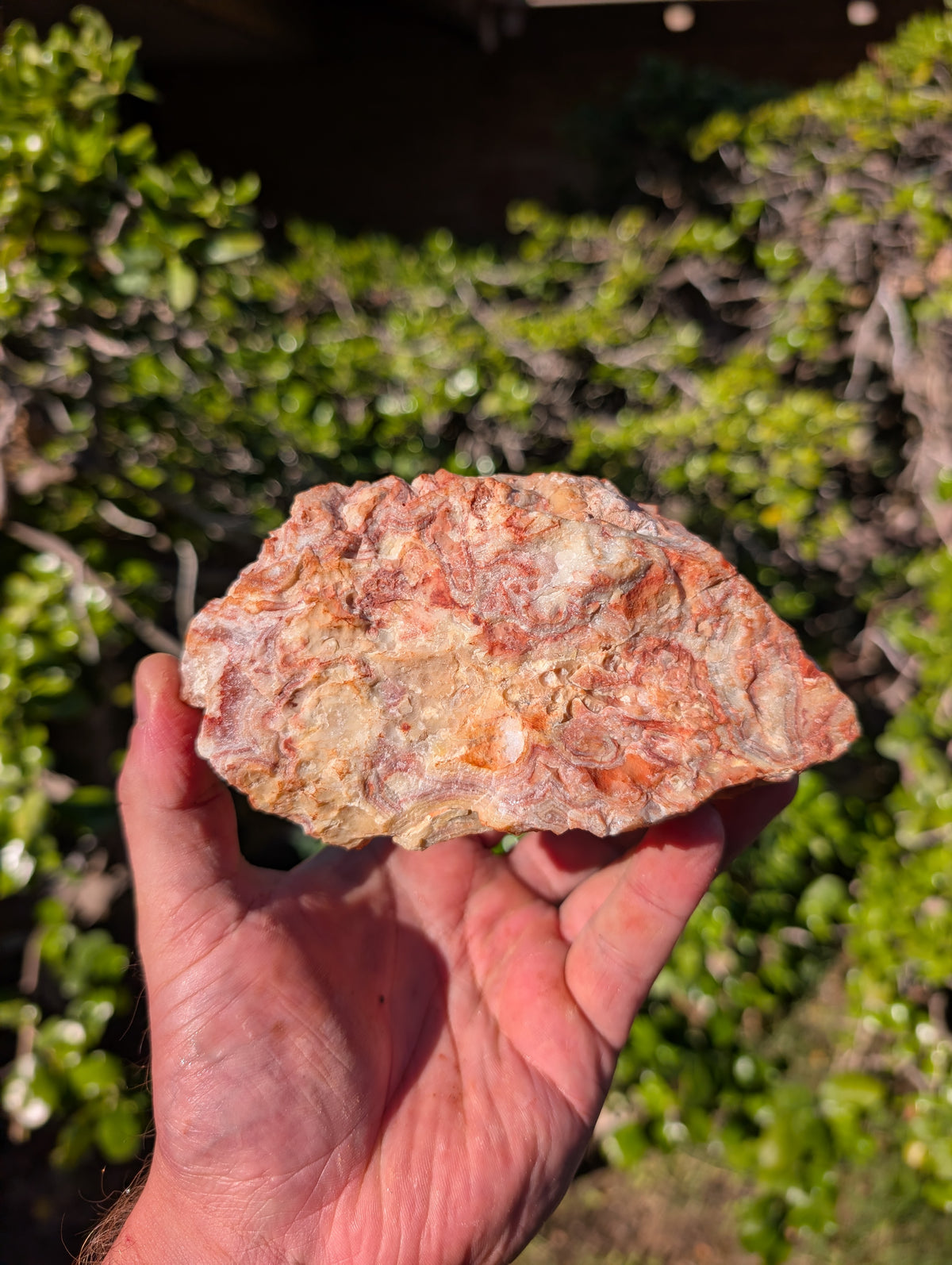 crazy lace agate