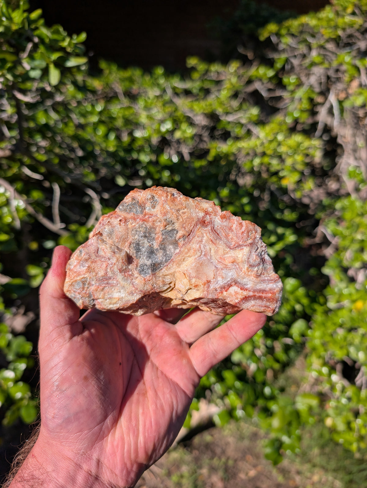 crazy lace agate