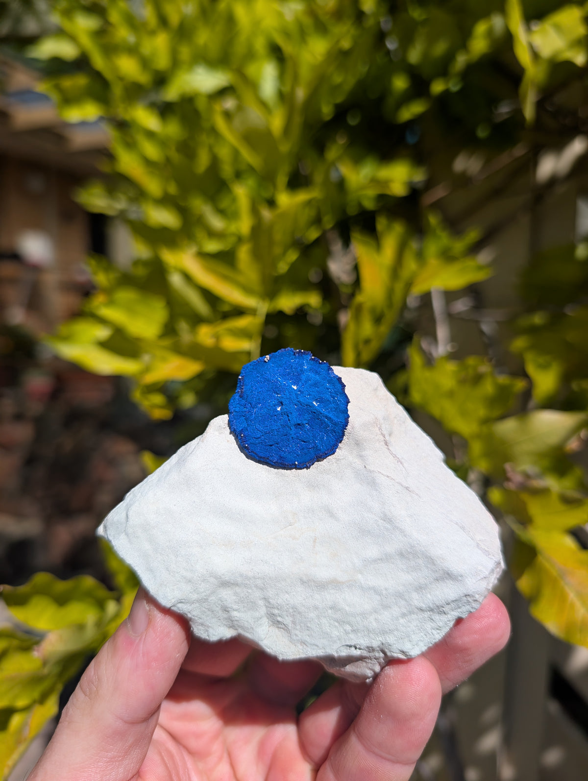 azurite sun