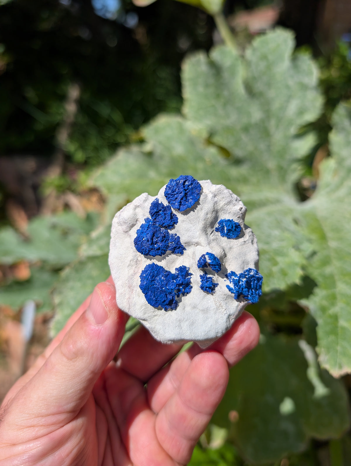 azurite sun