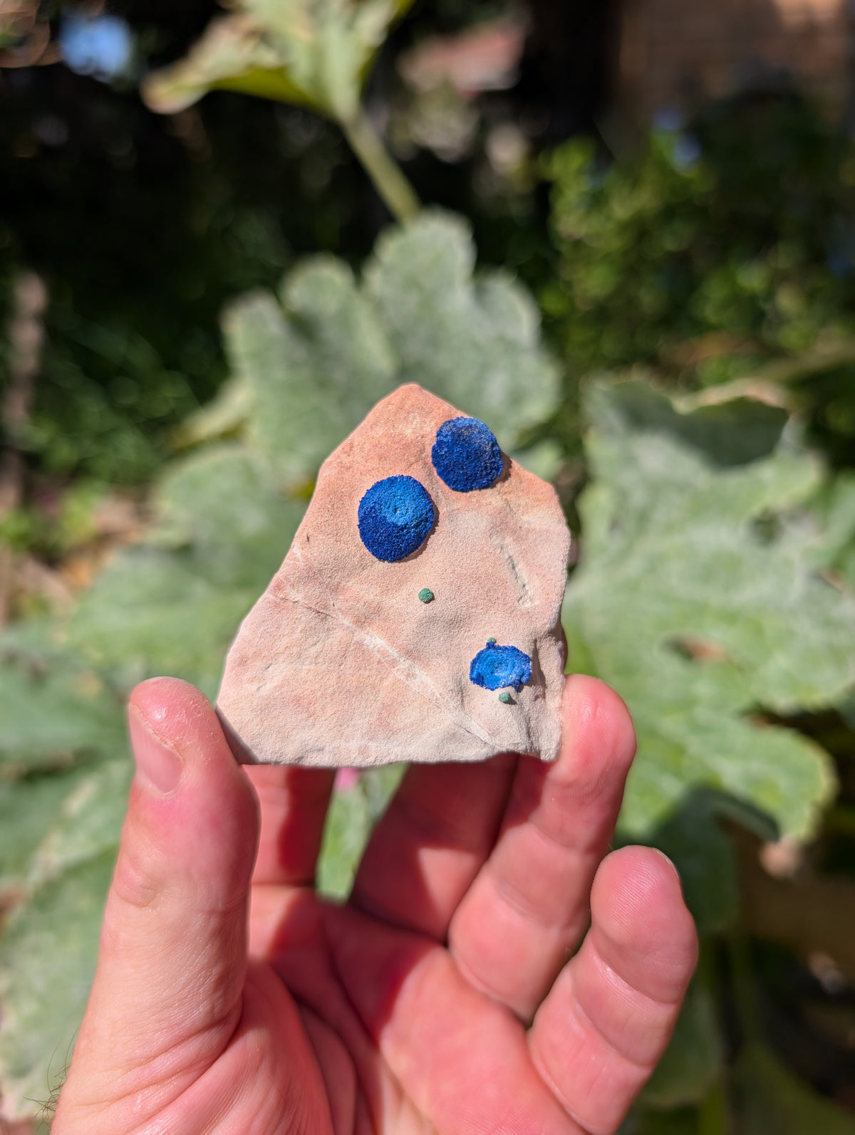 azurite sun