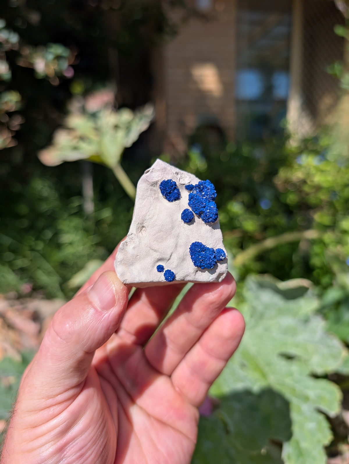 azurite sun
