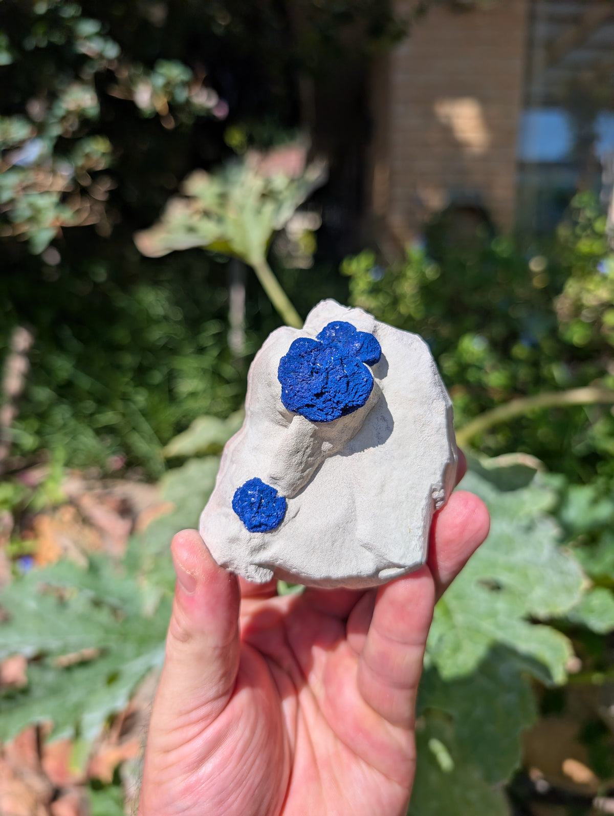 azurite sun