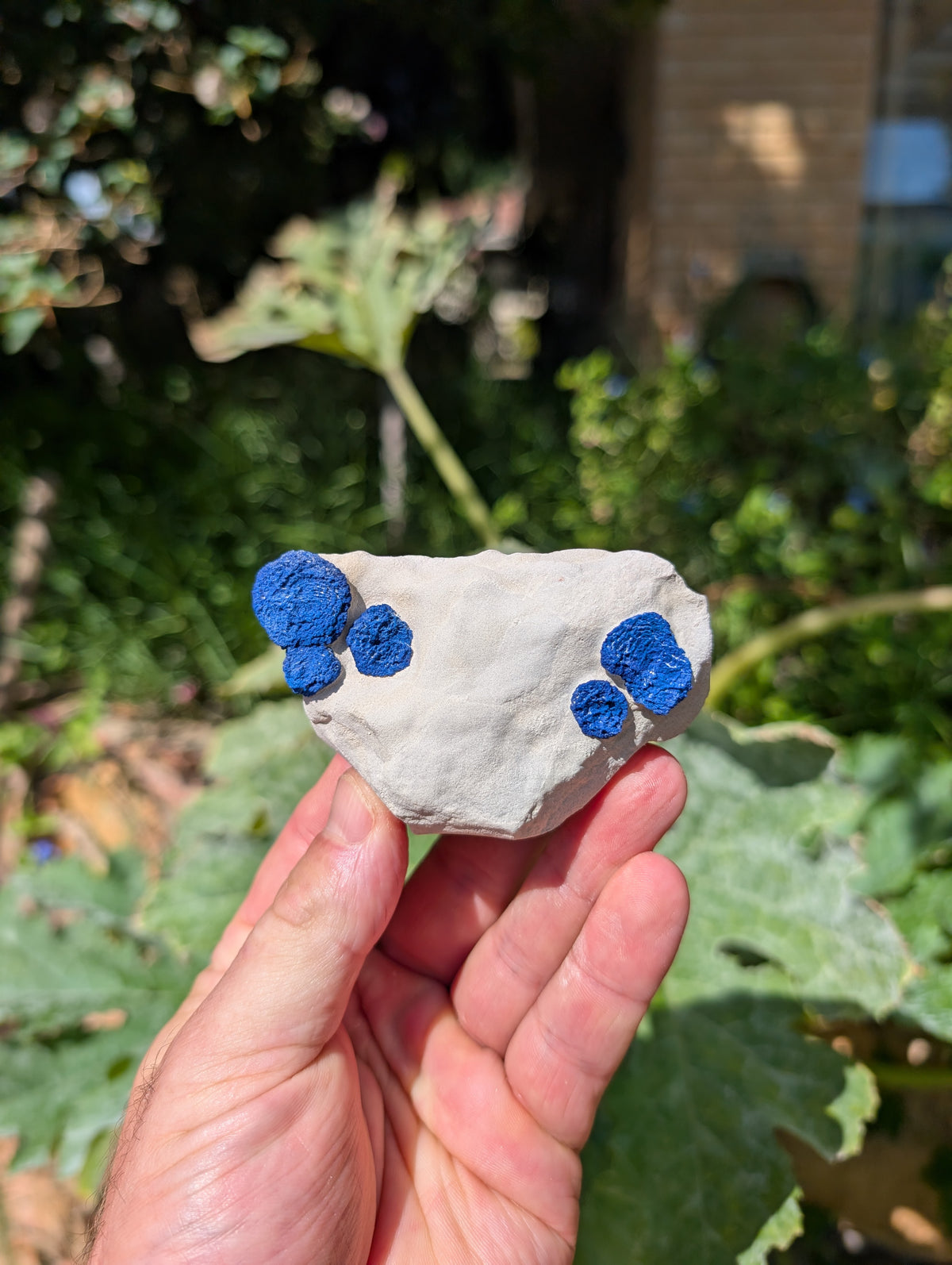 azurite sun