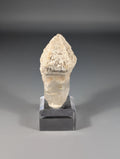 scepter quartz