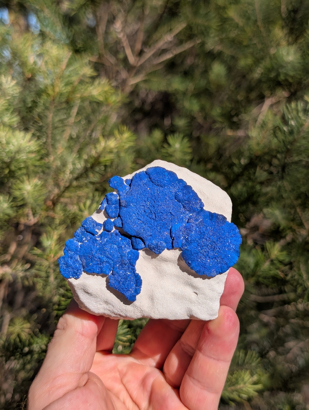 azurite sun