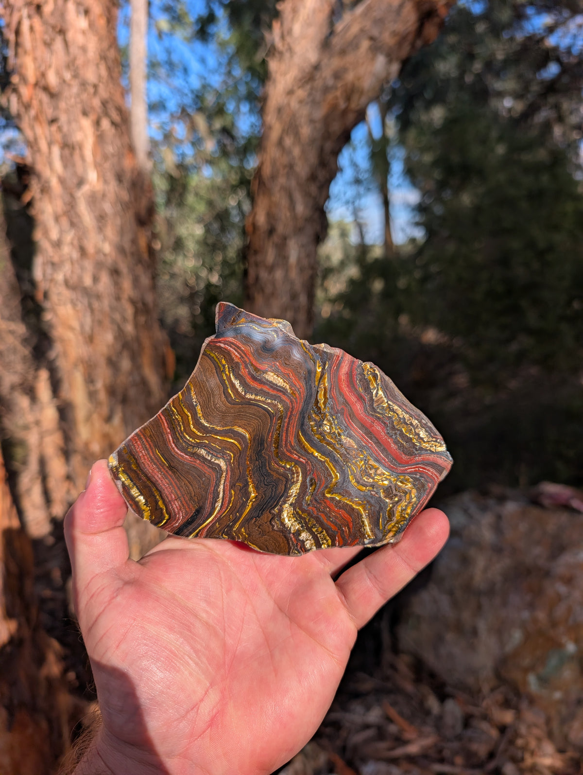 Tiger iron