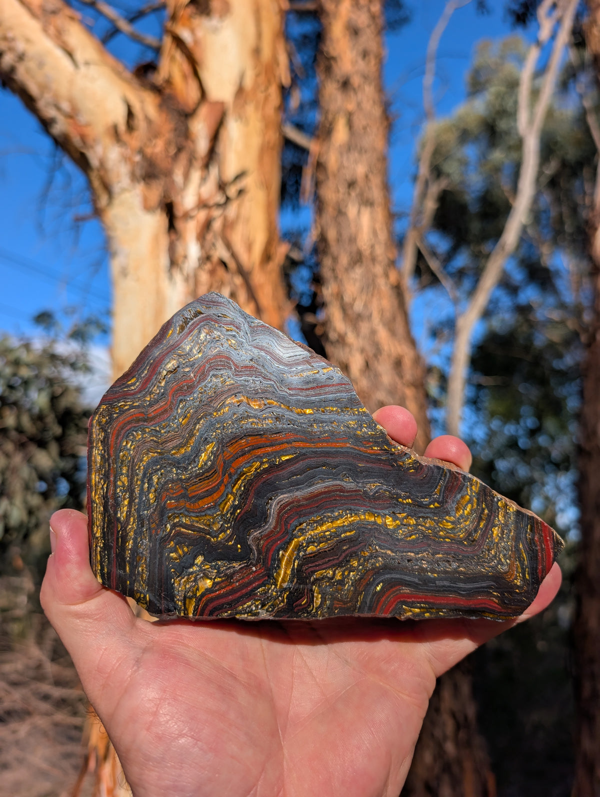 Tiger iron