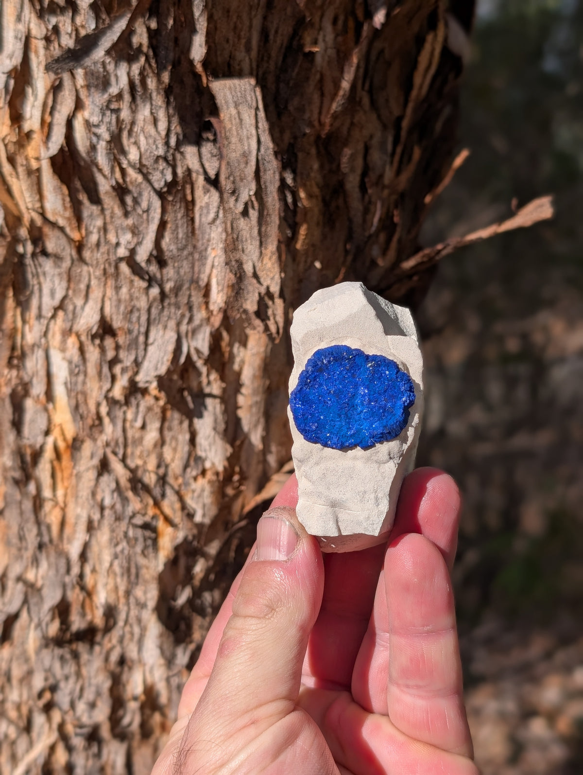 azurite sun