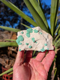 malachite sun