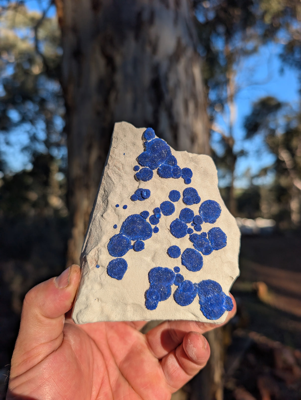 azurite sun