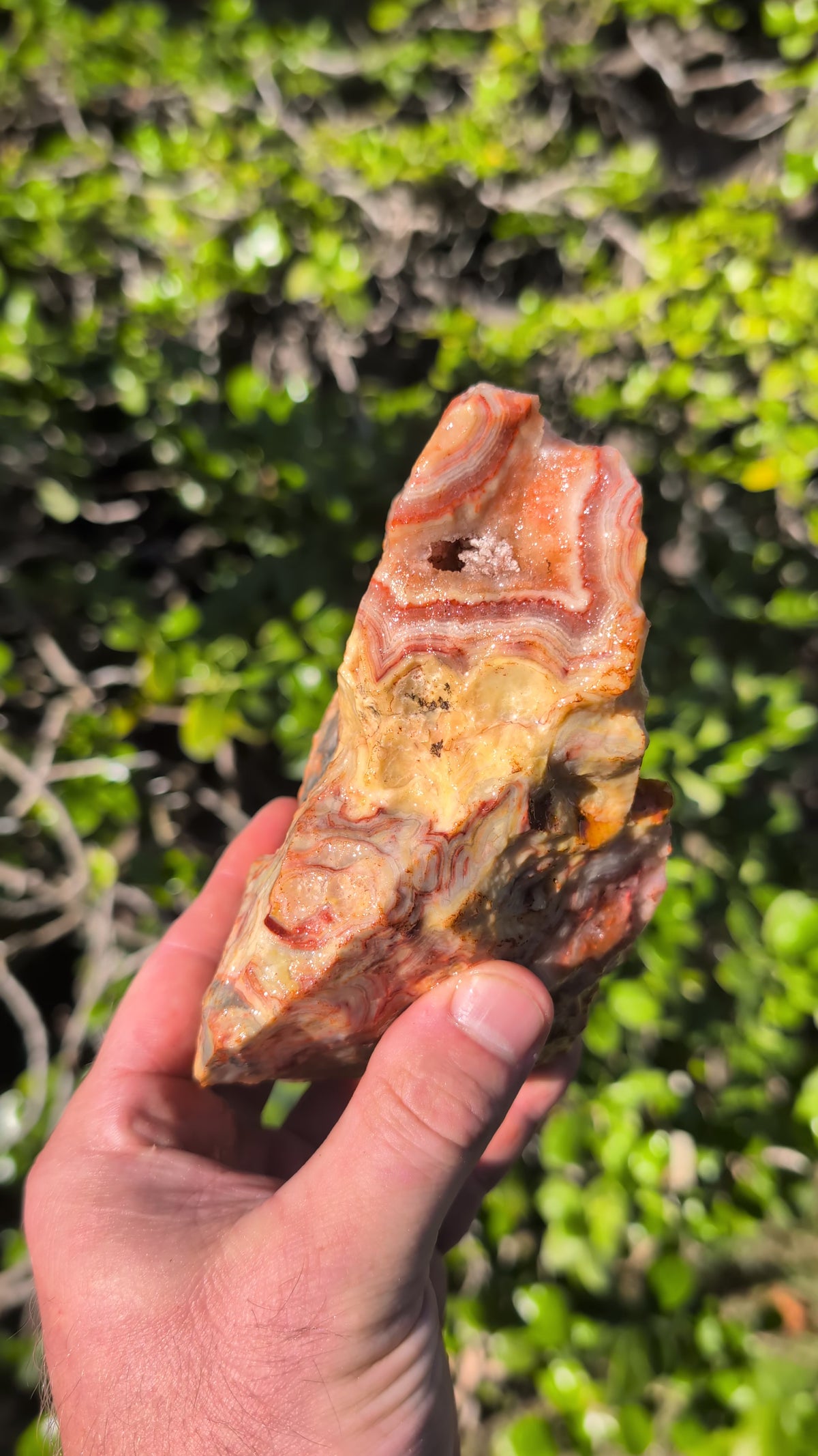 crazy lace agate