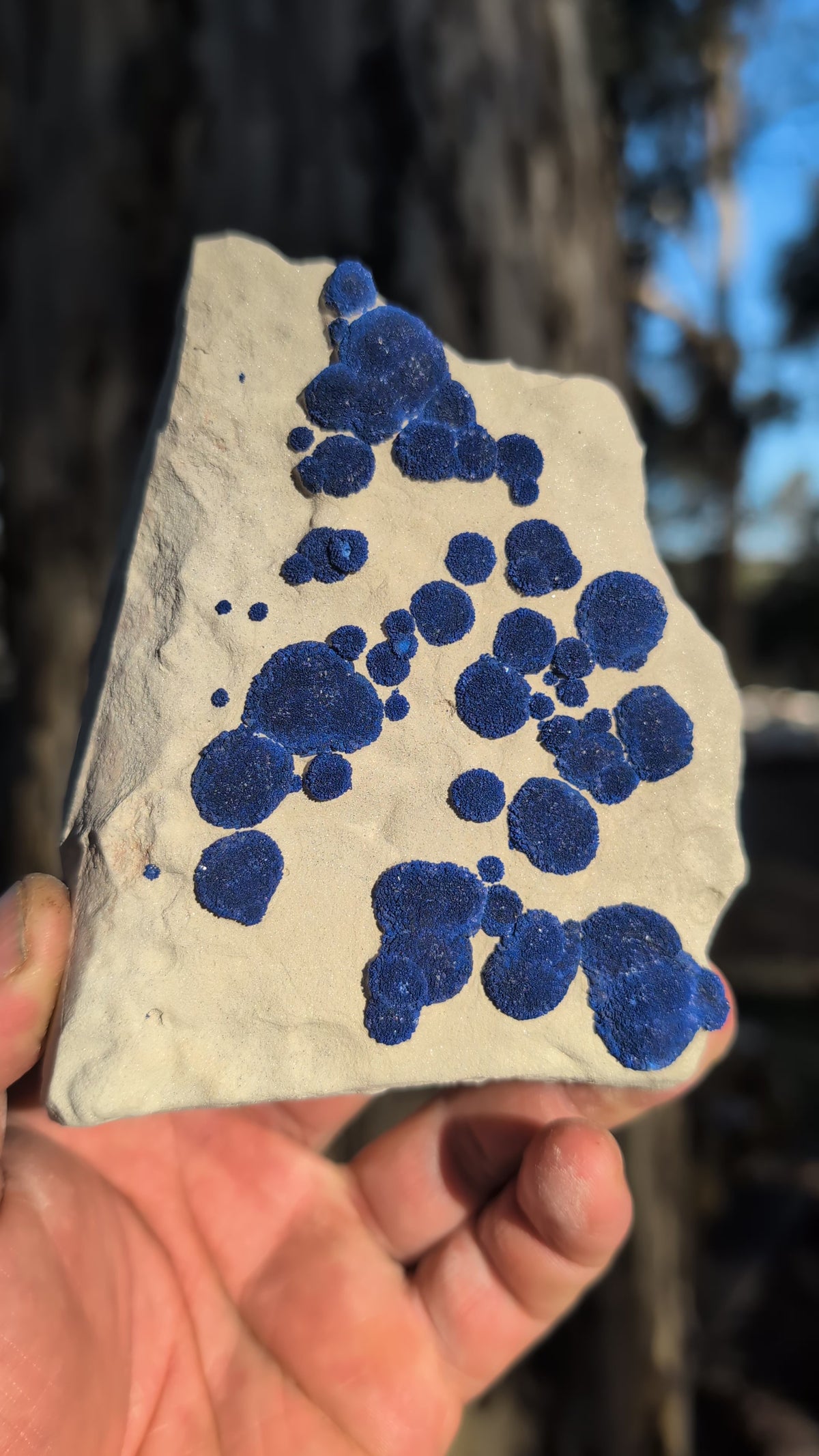 azurite sun