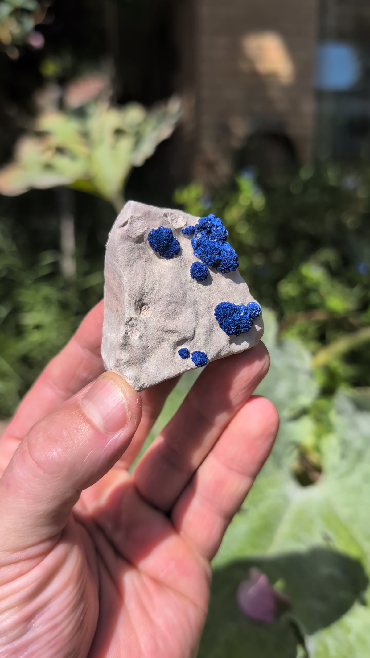 azurite sun
