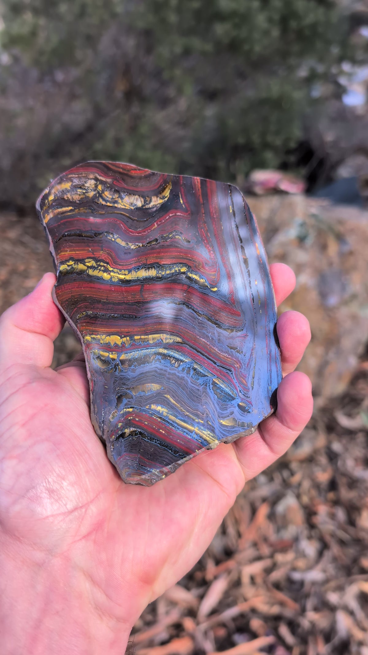Tiger iron