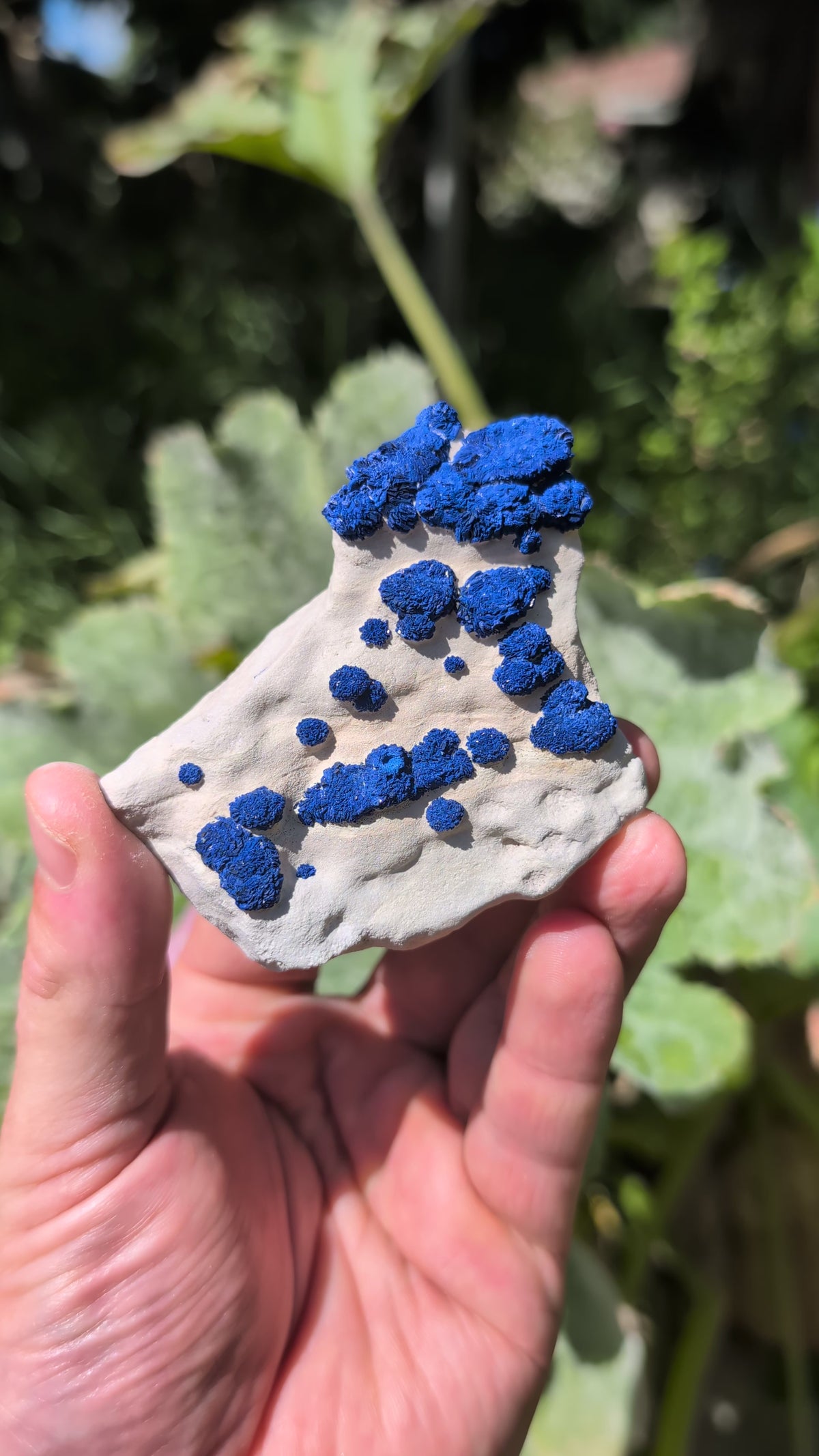 azurite sun
