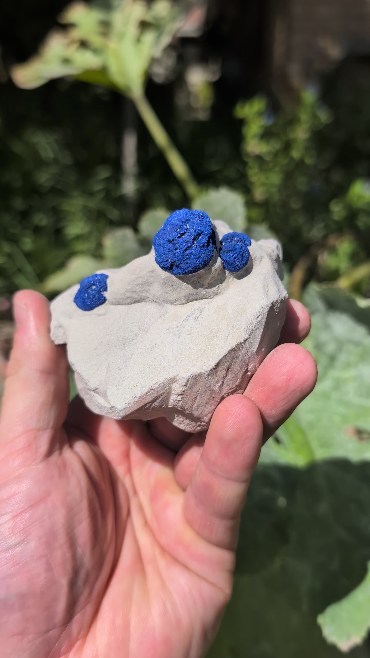azurite sun