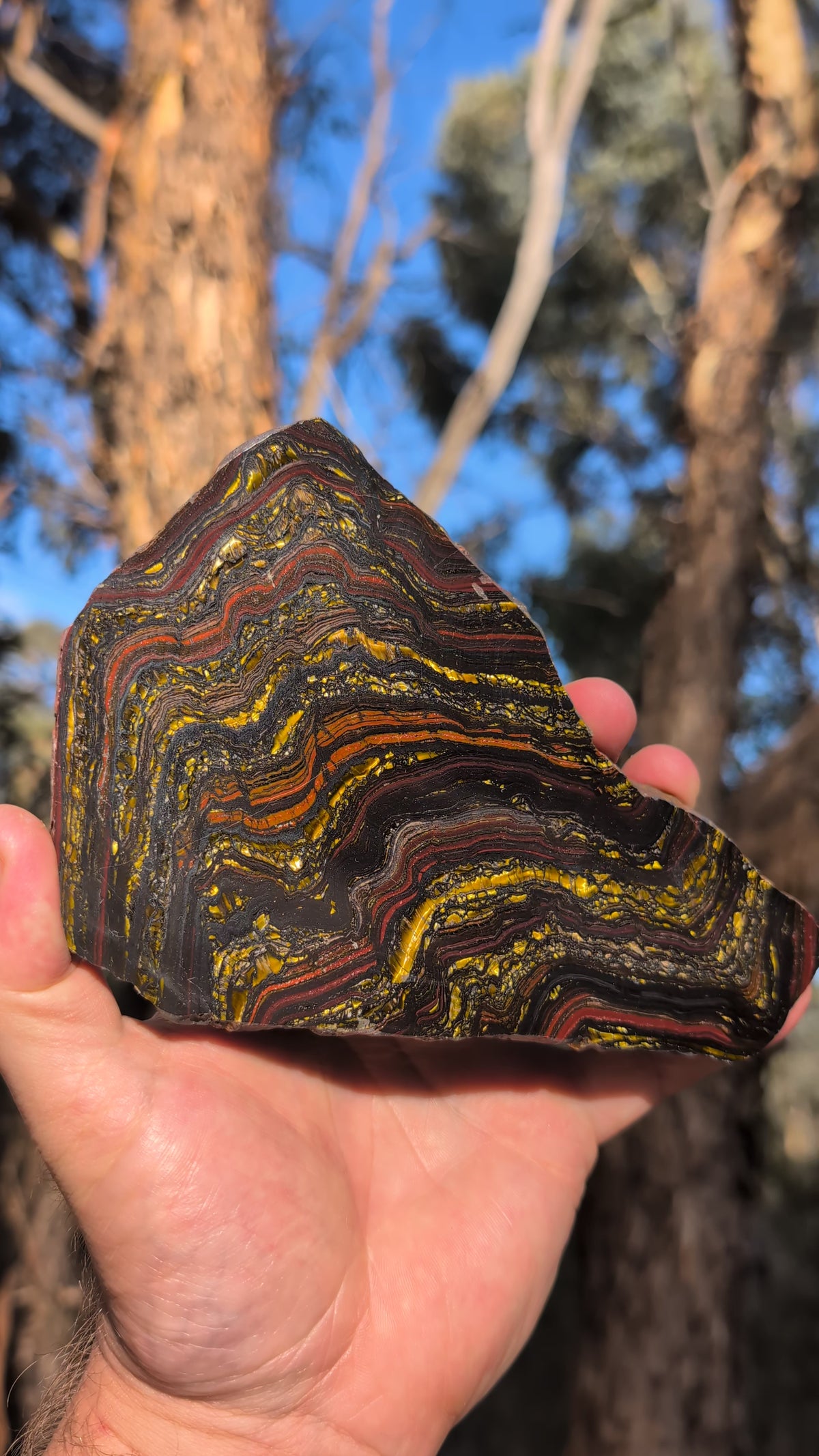 Tiger iron