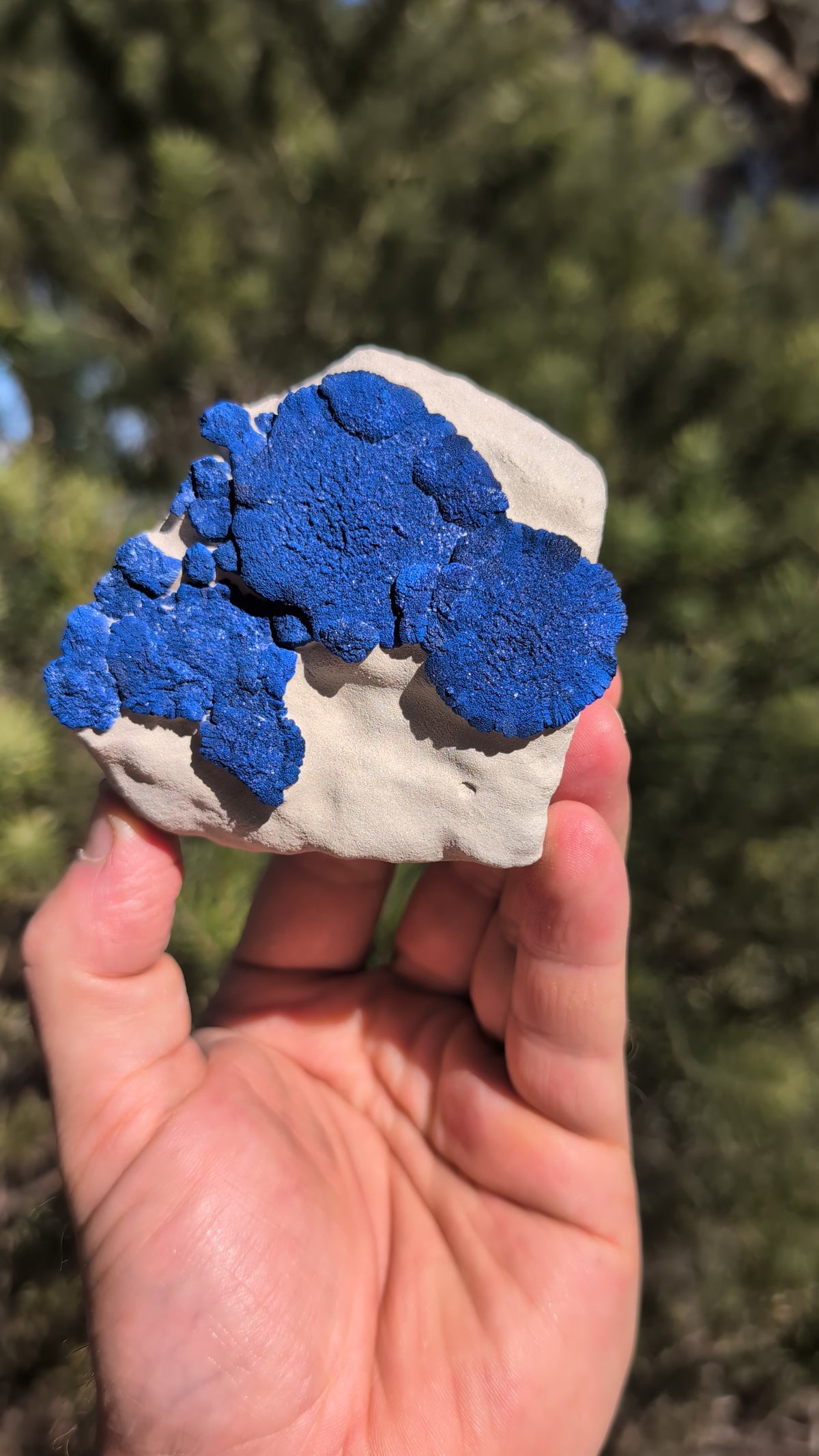 azurite sun