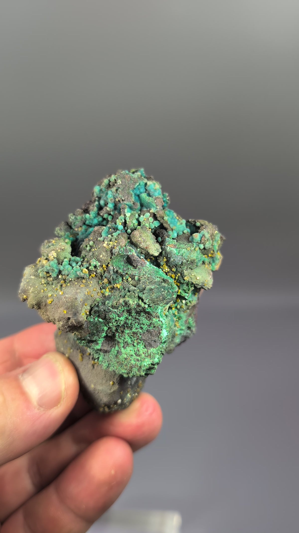chrysocolla pseudomorph W/ wulfenite