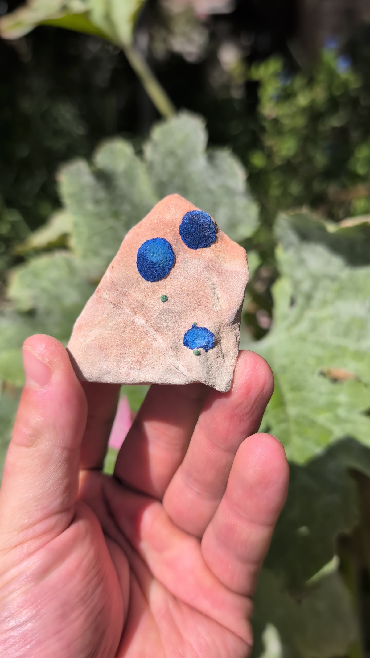 azurite sun