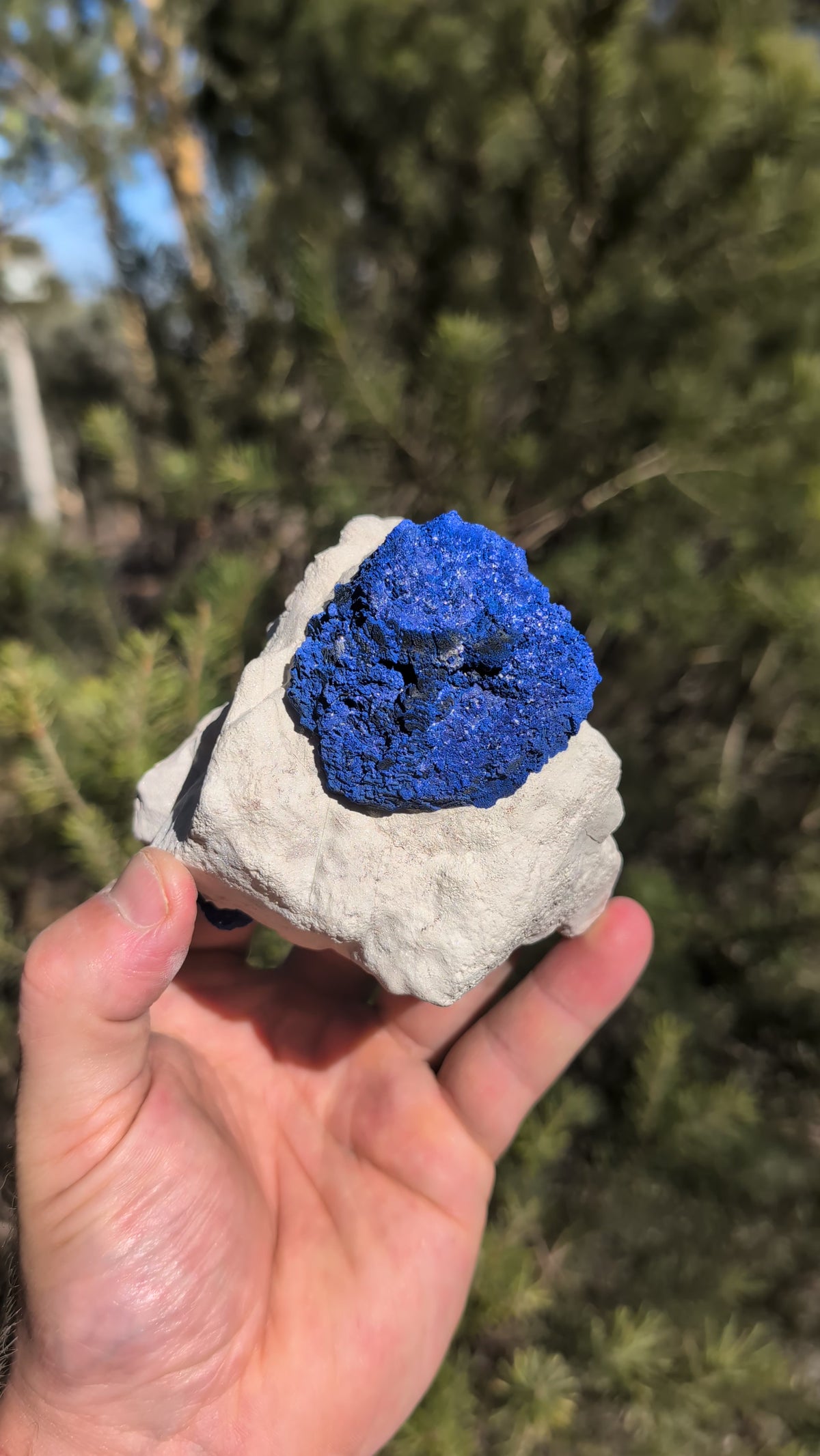 azurite sun