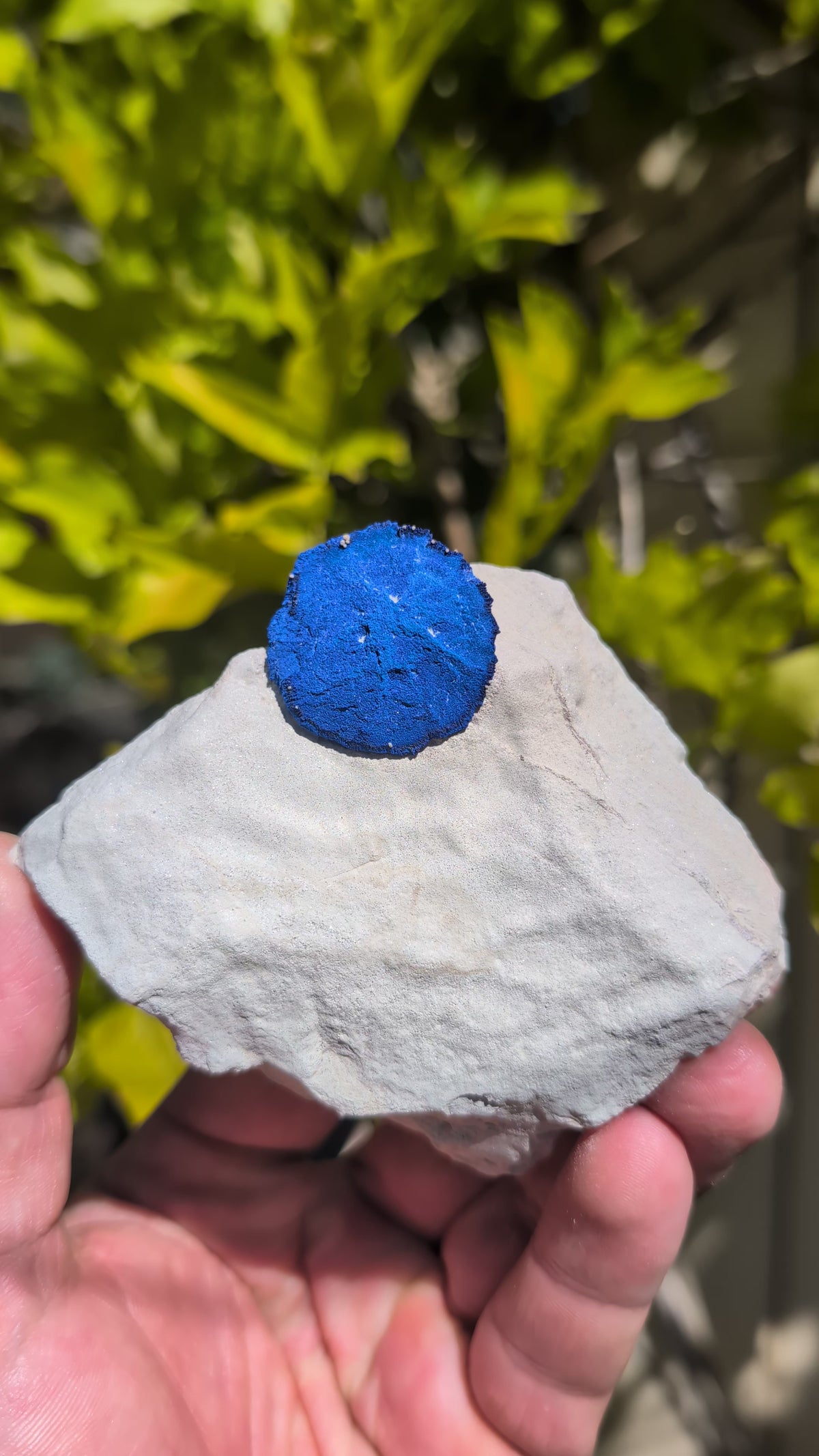 azurite sun
