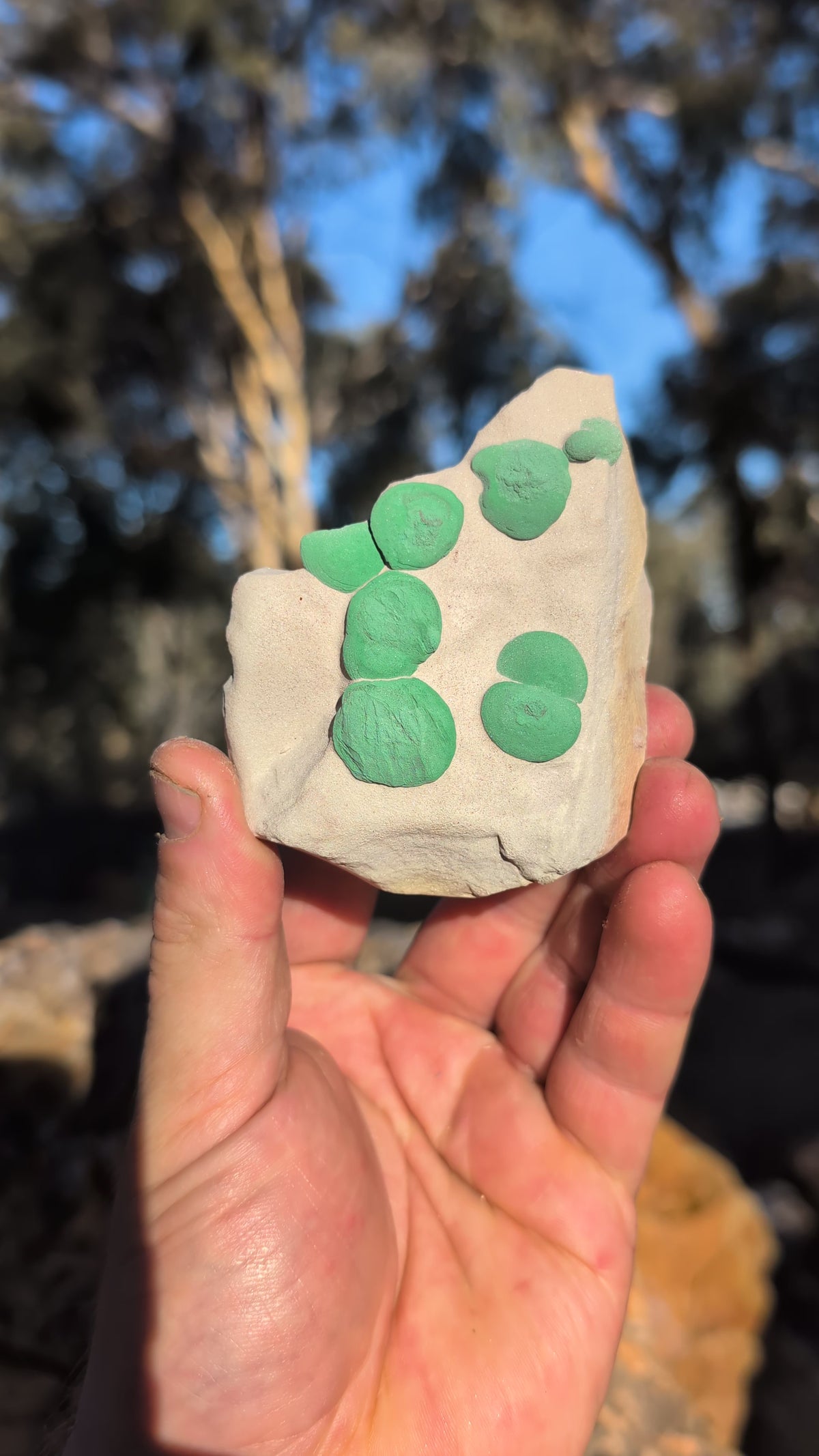 malachite sun