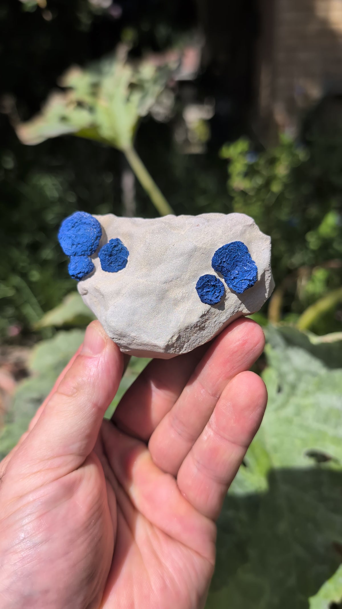azurite sun