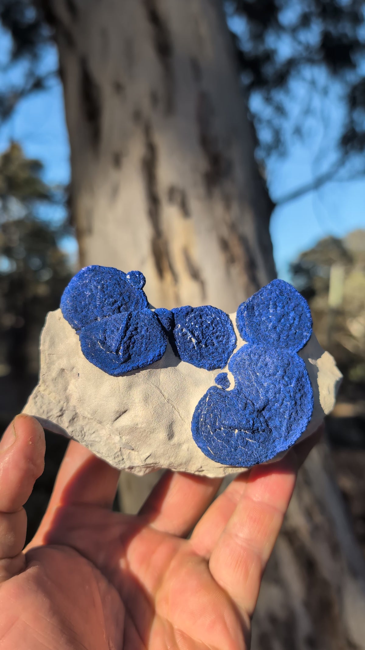 azurite sun