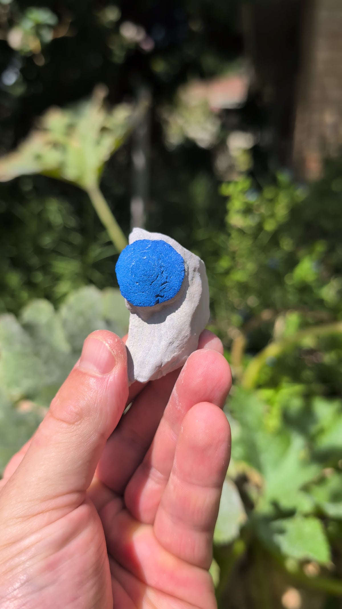 azurite sun