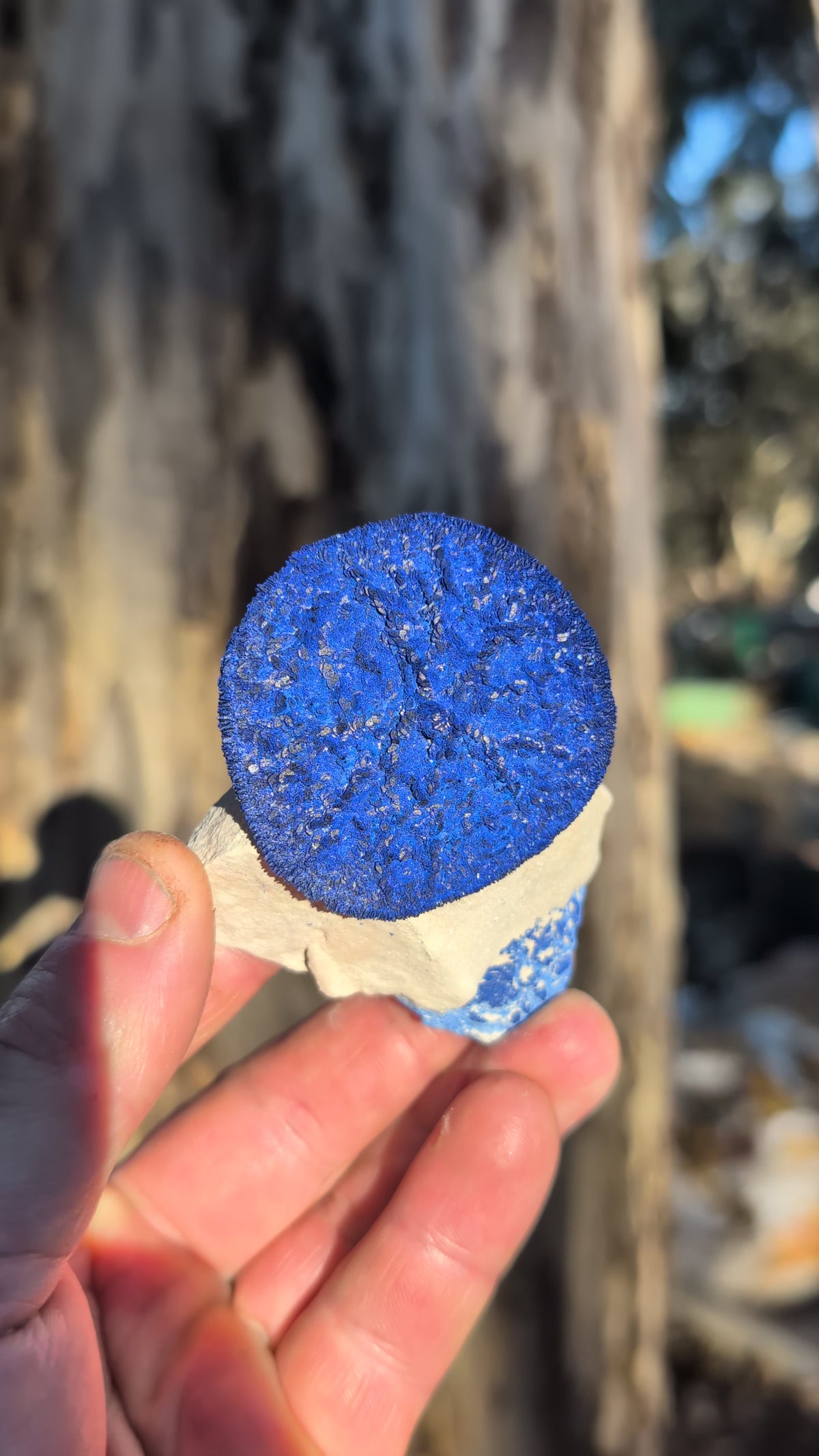 azurite sun