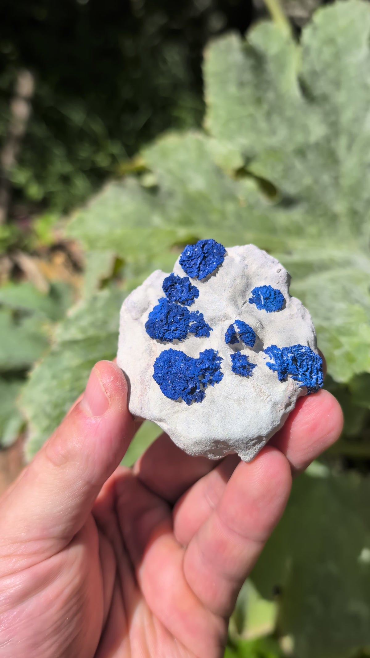 azurite sun