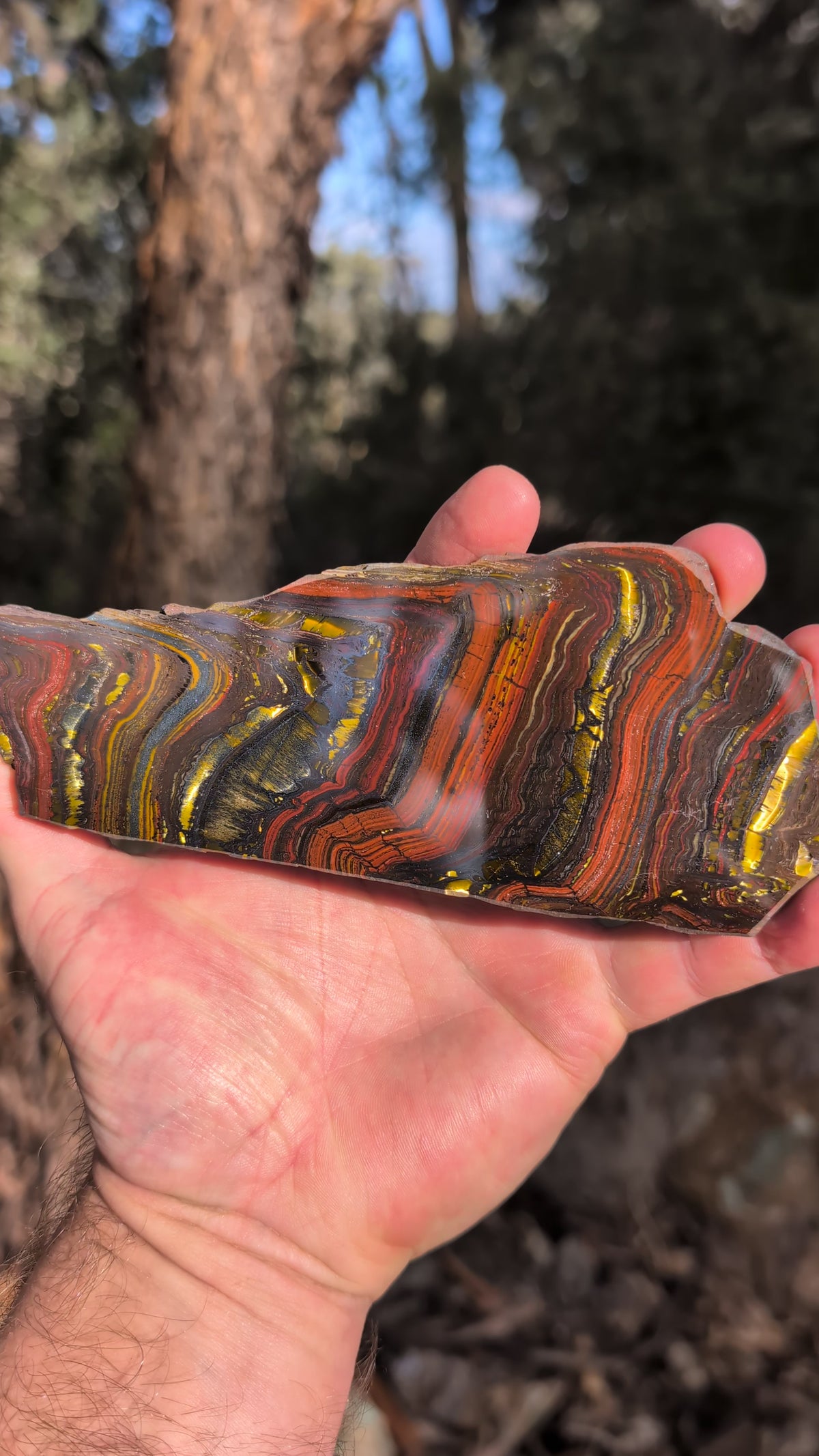 Tiger iron