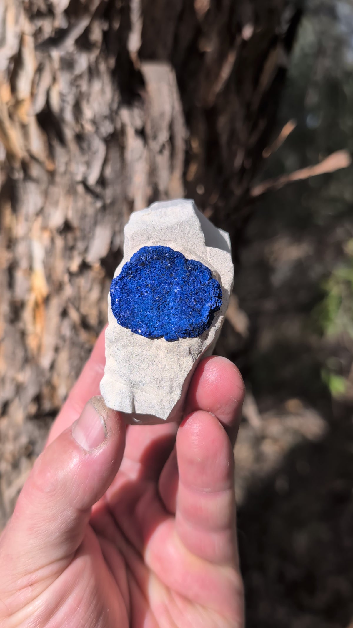 azurite sun